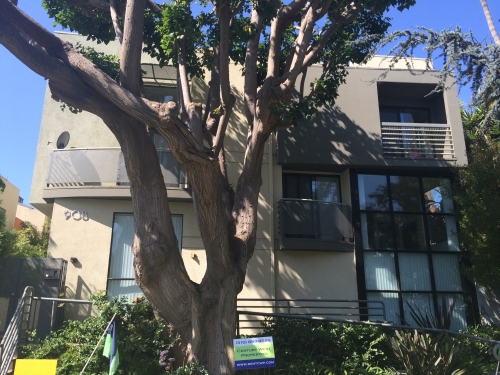 Santa Monica  Apartments
