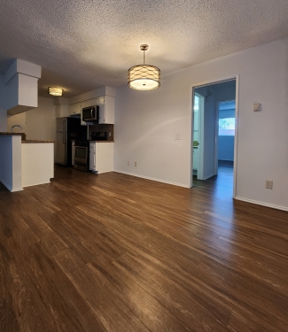 Apartment in Santa Monica