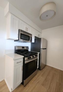 Apartment in Santa Monica