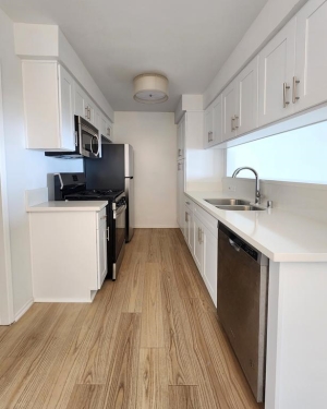 Apartment in Santa Monica