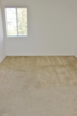 Apartment in Santa Monica