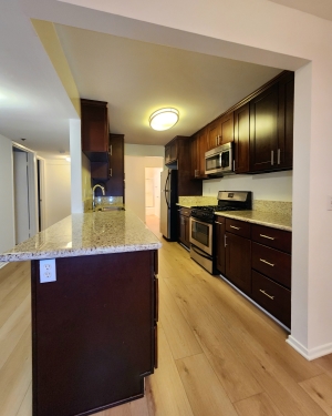 Apartment in Santa Monica